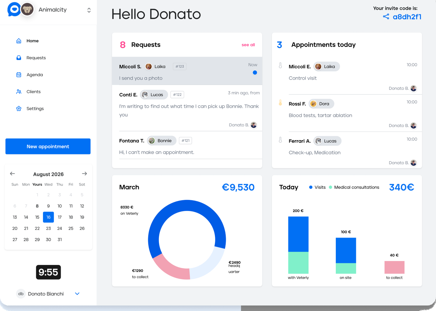 Veterly vet dashboard with requests, appointments and revenue