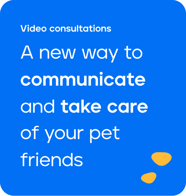 Veterly video consultations brand message