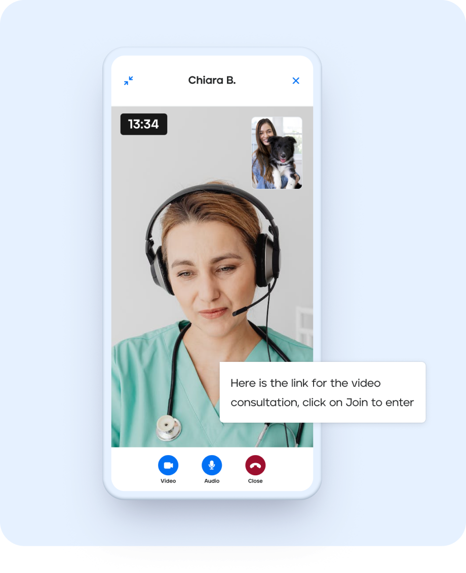 Veterly mobile video consultation between vet and pet owner
