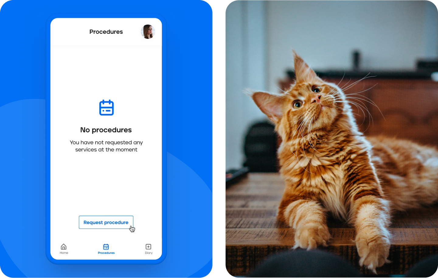Veterly mobile procedures empty state next to a cat photo
