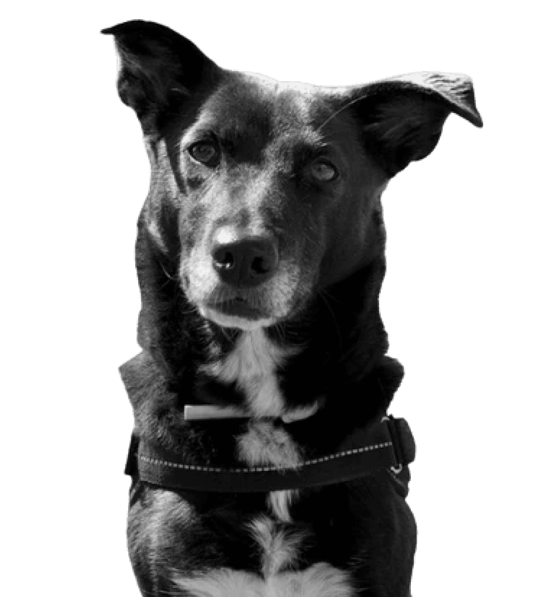 Zoe